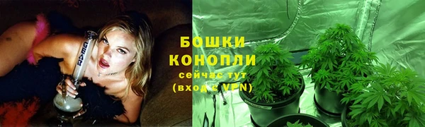 тгк Богородск