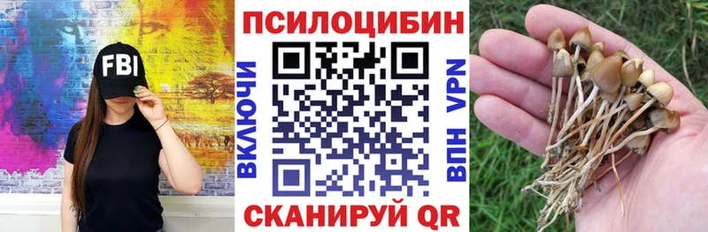 кракен онион Зеленокумск Галлюциногенные грибы прущие грибы